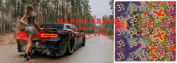 стаф Медвежьегорск